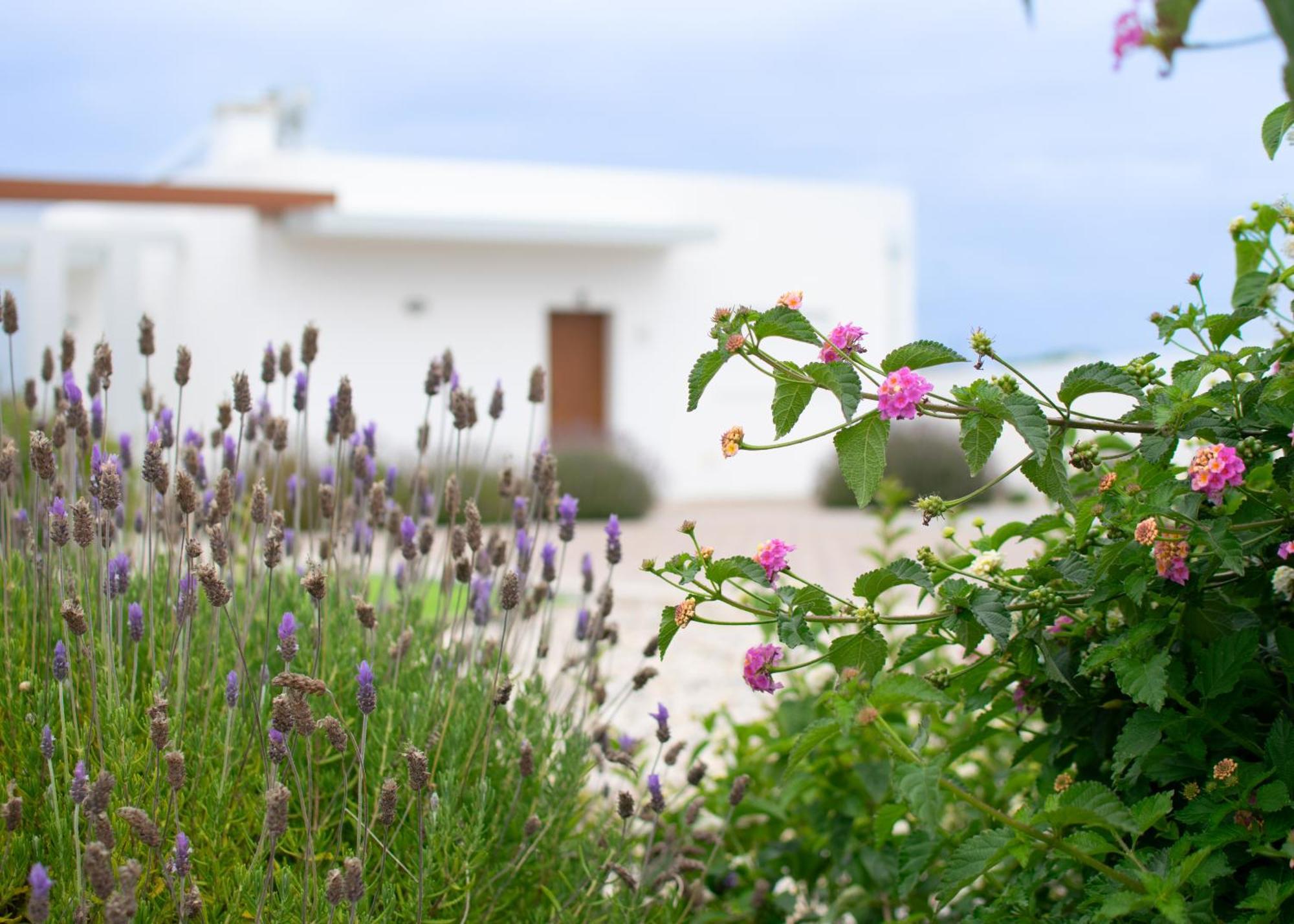 Marar Local Ferienhaus *